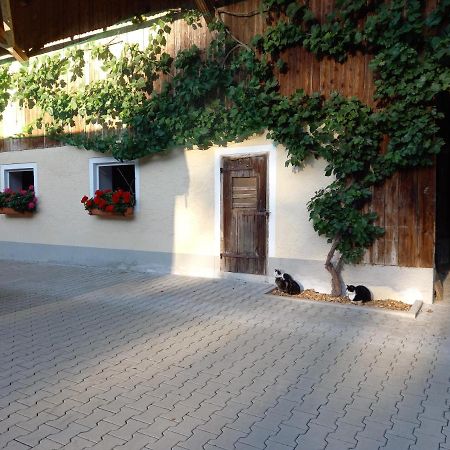 Landhof Ella - Ferienhaus Vor Den Toren Salzburgs Petting Экстерьер фото