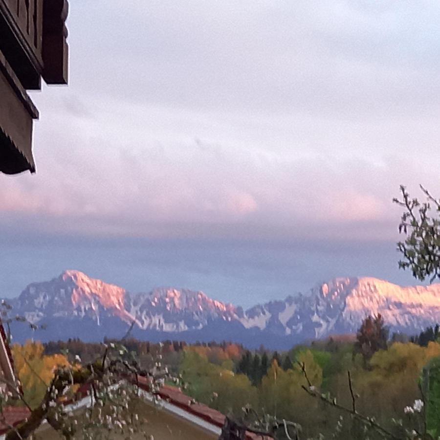 Landhof Ella - Ferienhaus Vor Den Toren Salzburgs Petting Экстерьер фото