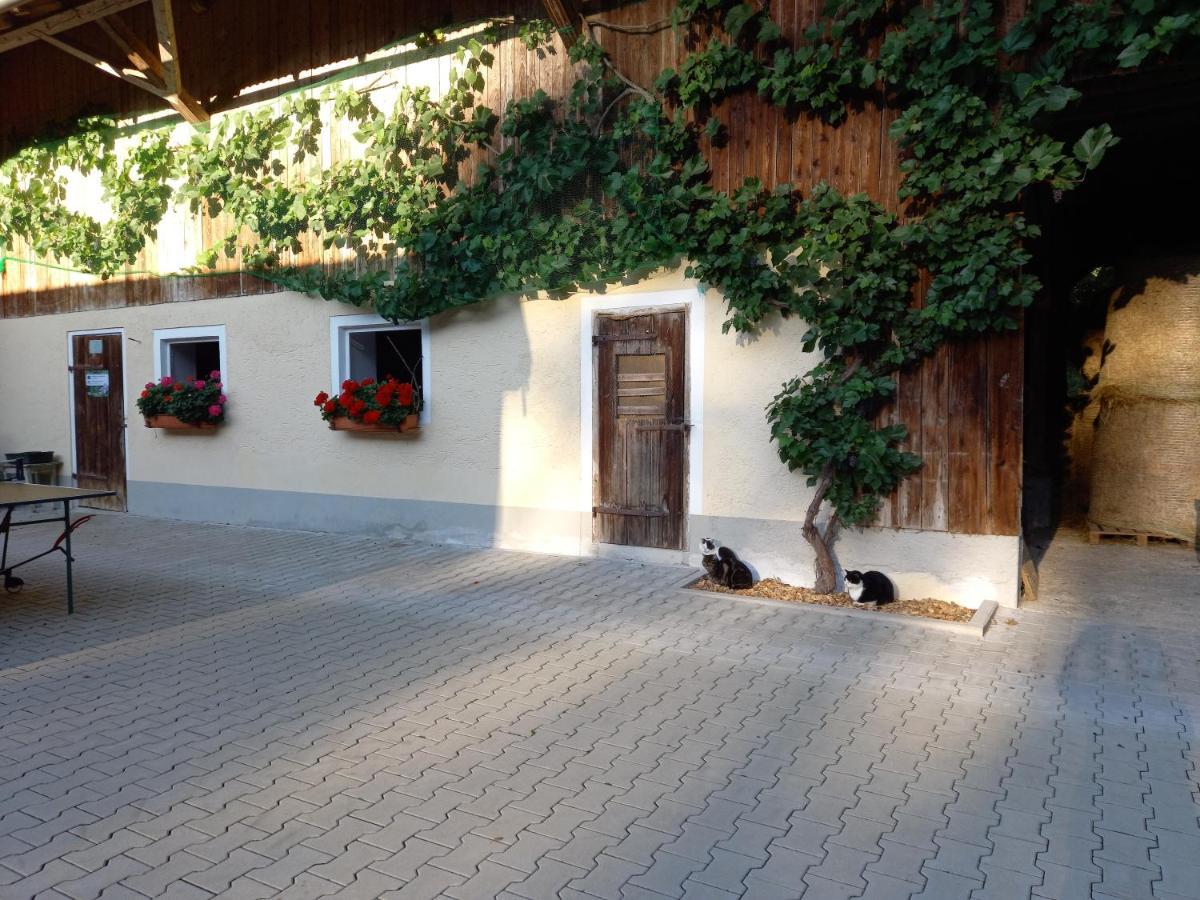 Landhof Ella - Ferienhaus Vor Den Toren Salzburgs Petting Экстерьер фото