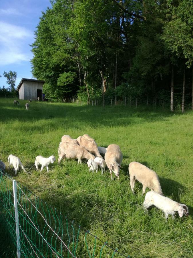 Landhof Ella - Ferienhaus Vor Den Toren Salzburgs Petting Экстерьер фото