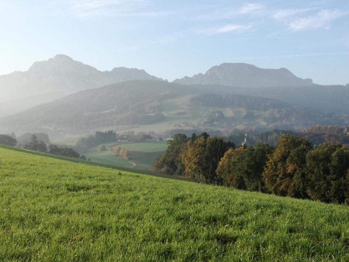 Landhof Ella - Ferienhaus Vor Den Toren Salzburgs Petting Экстерьер фото